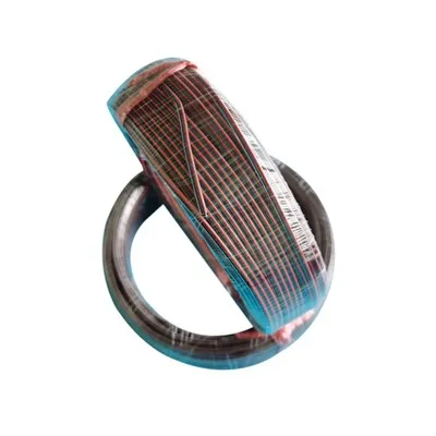 0,5 mm*2 Type J termoelementkompensasjonskabel